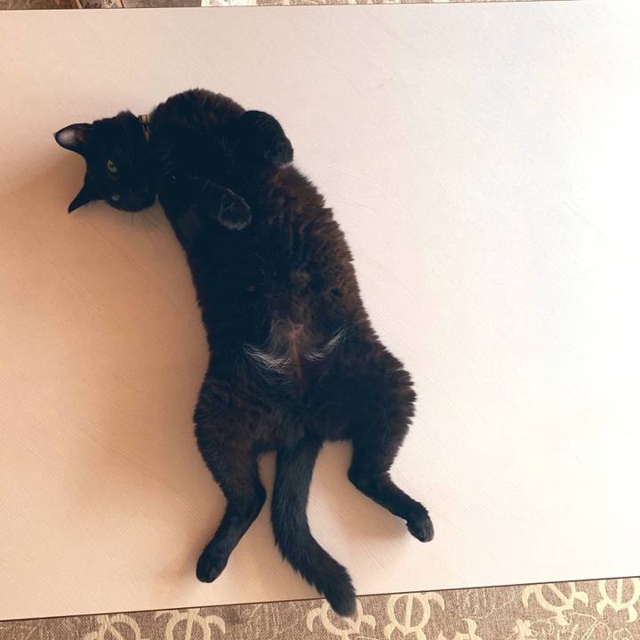 Edc9d15d 0383 42e1 b541 e7222c28acdd 1565844255019