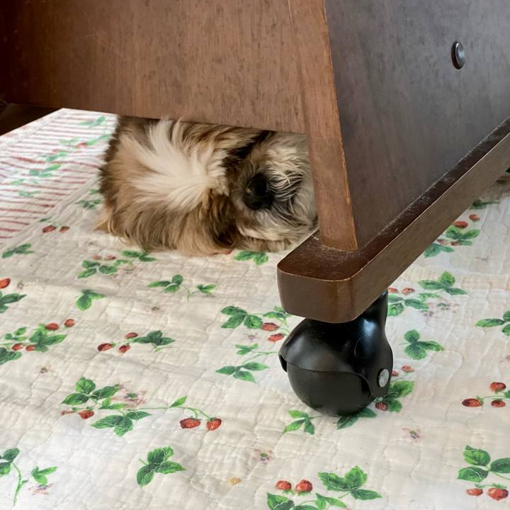 Edc9dd0c f3f4 493c 8ac4 d59df8185df7 1658374092864