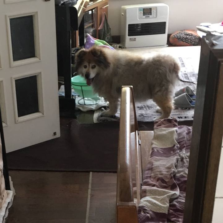 Edca4228 2059 47de b949 bb8b4cd81e19 1557734233089