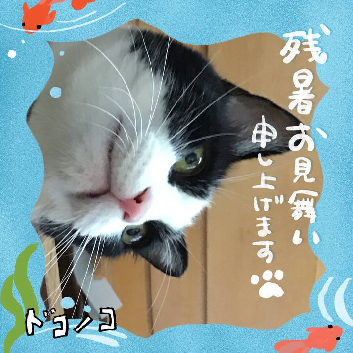 Edca4609 8b63 4579 a783 ce140f5311ef 1723278364080