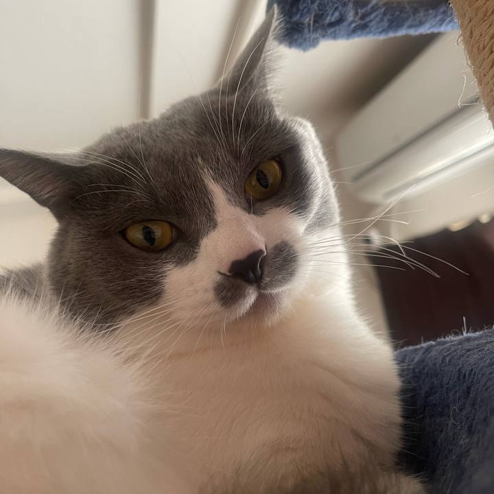 Edca4a86 57dd 493a b1d8 1790f5edb48b 1702859391198