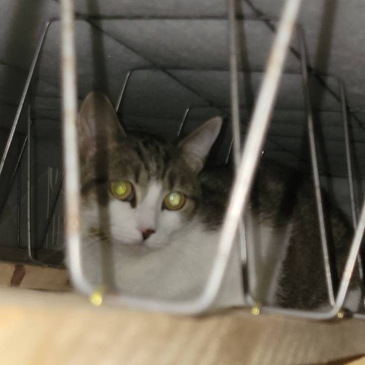 Edca5a03 6190 4588 b20d bea46026c39b 1743909605942