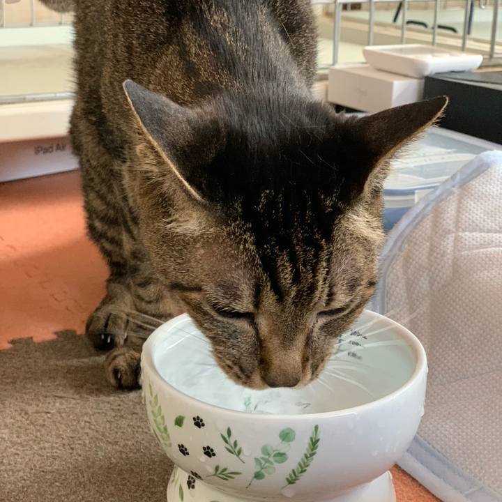 Edca997c b4f5 466f 9994 d14eb51eec29 1590801647505