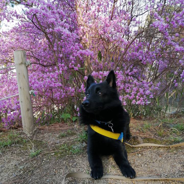 Edcad528 897e 44a6 b485 dab71145c574 1585124019597