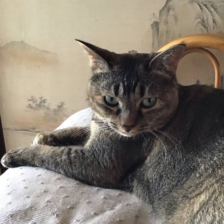 Edcad7d3 edb9 43a2 bf1c 9292047fc3e9 1753616756841