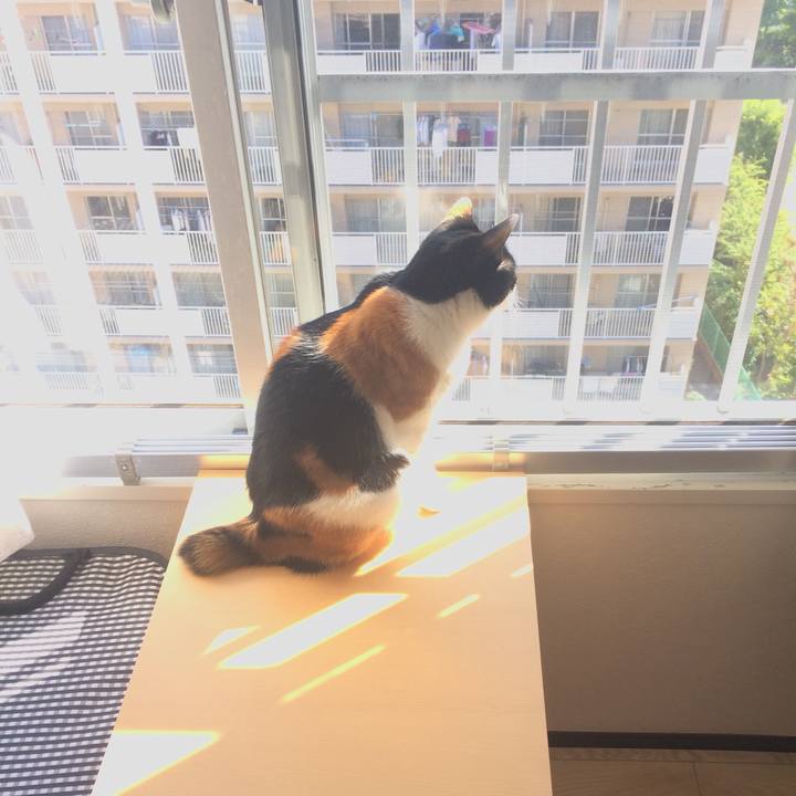 Edcad911 937a 4ee6 98c8 fc6daa324c80 1560379778042