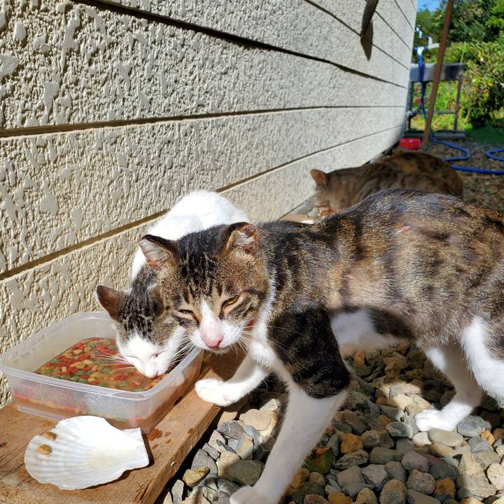 Edcb0a73 f3c8 49a0 a5e6 cf40c9deb8c2 1696942806530