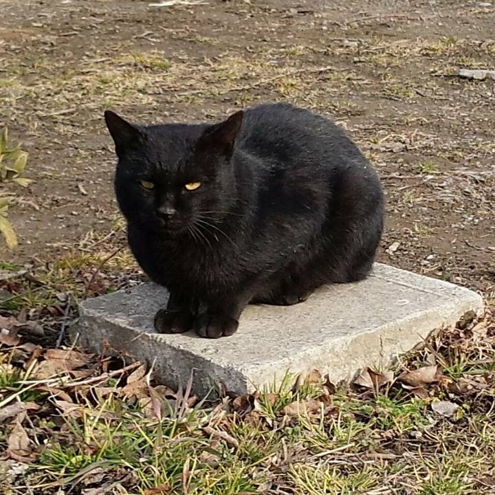 Edcb0f95 f041 43f9 b7dc b4953b2e29b7 1517928224809