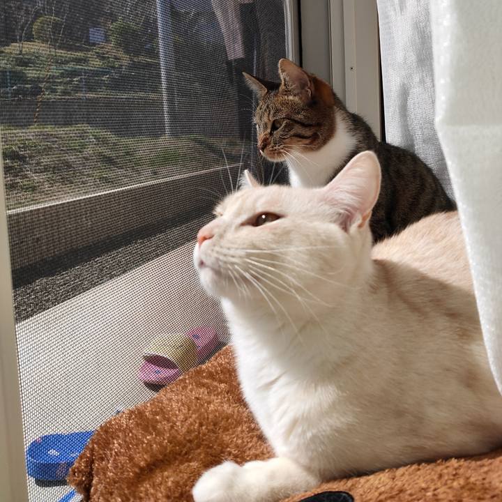 Edcb43c3 b06c 4950 8991 f2780f839ebf 1679277238989