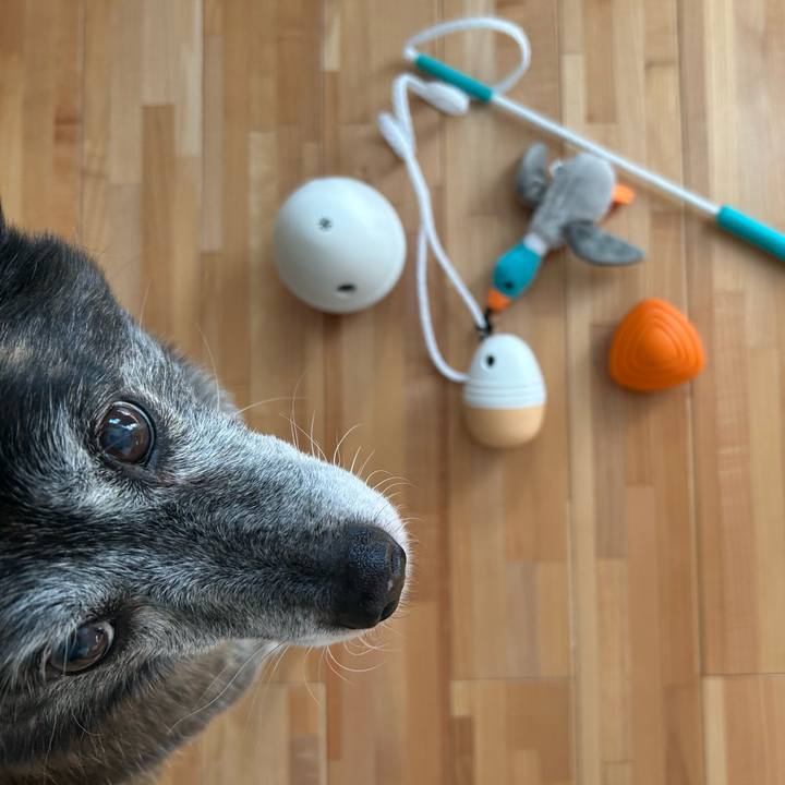 Edcb4aa3 8e03 47c4 a3ad aabb69237b71 1735007822882