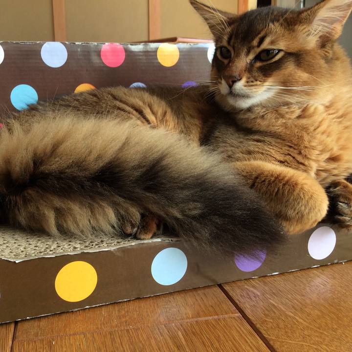 Edcb5111 2cc7 4606 b7de 8fae8a0eca53 1580777149747