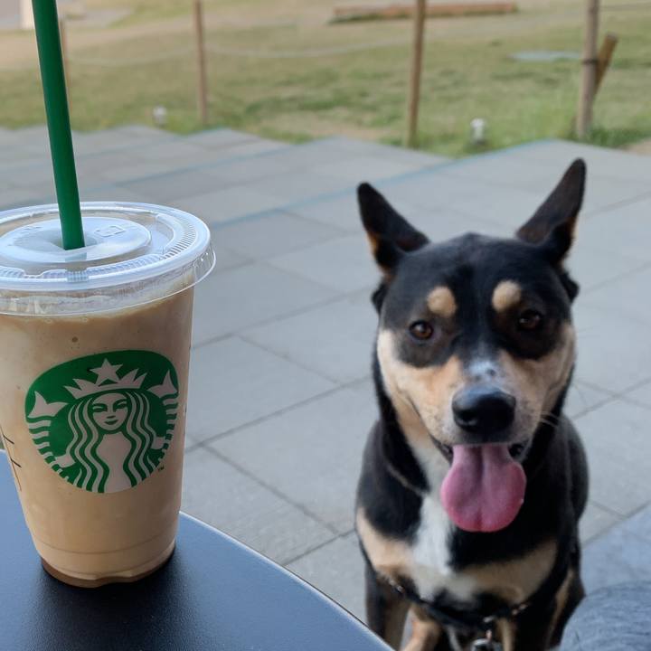 Edcb6f40 94cf 4444 9dc8 0dfe7fefa57a 1558004018097