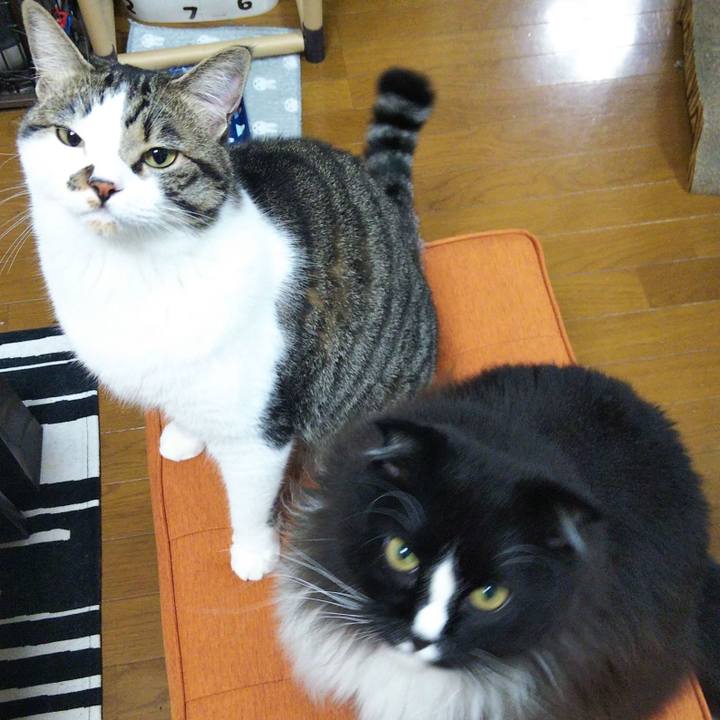 Edcbc6fe 7ad4 4151 93ae 2dc1045b504d 1658577813600