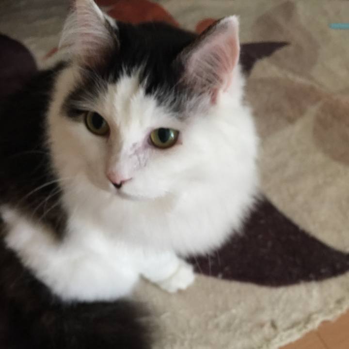 Edcbe964 5574 4a86 bd3f fa95e4e483f5 1533338178843