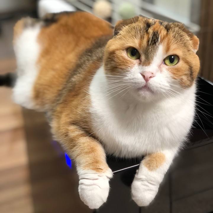 Edcbf24f e160 4d10 8498 9d1d28b9d1f4 1558445834275