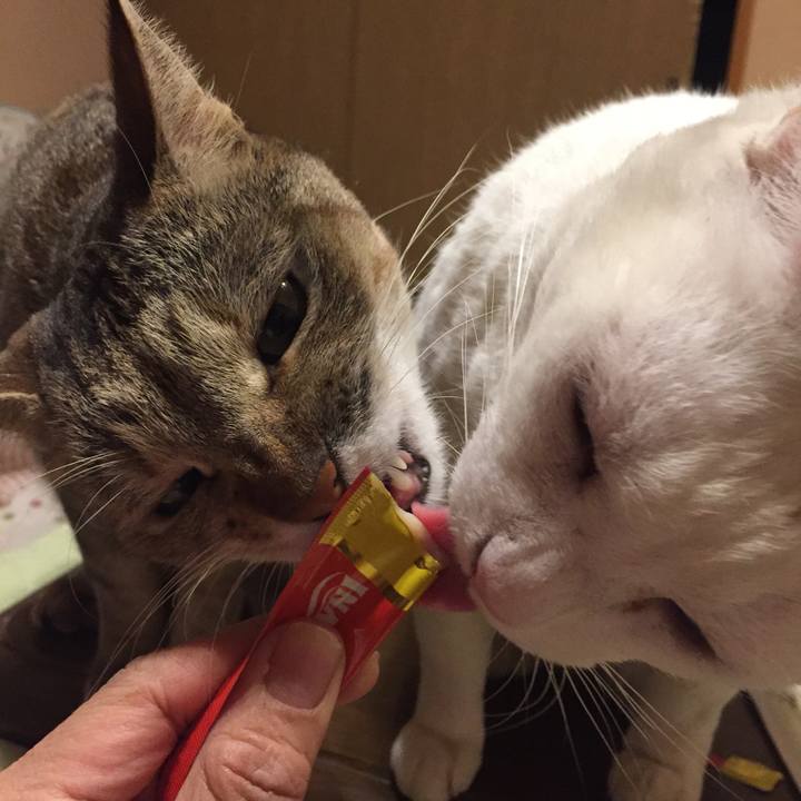 Edcc4da0 37c3 4c15 a4e0 5ff084f35364 1552053607113