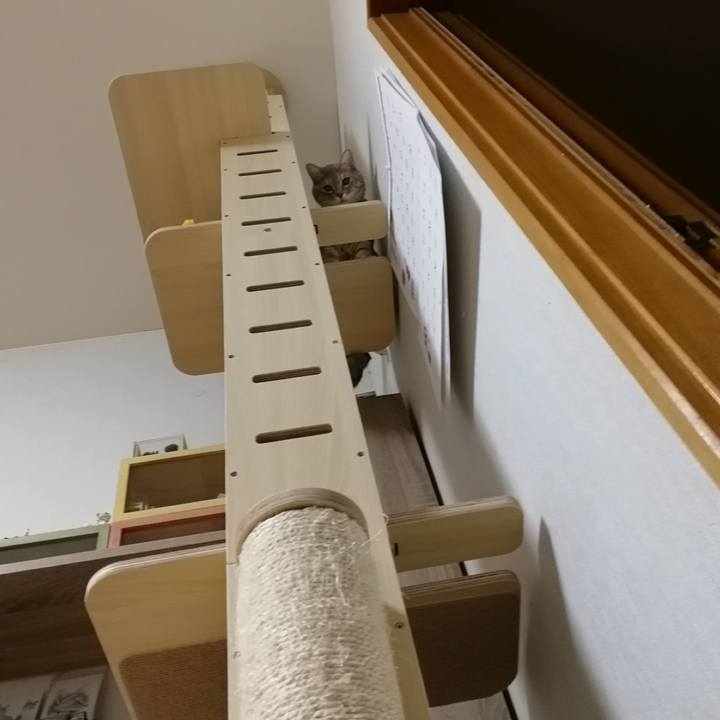 Edcc5a2c 8320 488a b93f 940aca117ad3 1544275840040