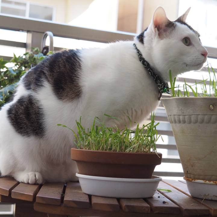 Edcc87a7 b2bf 472b adc0 0bcabea12c93 1552712862654