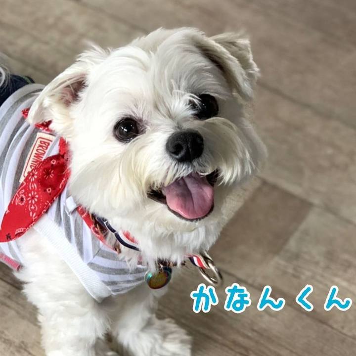 Edccb59c 9755 4f46 9fb3 175d1231b7e2 1647259143935