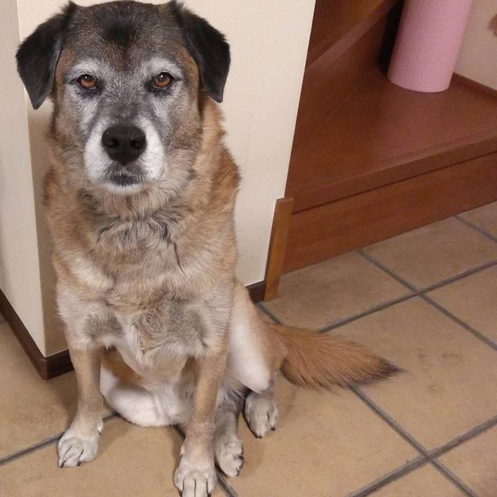 Edccb8d0 8f2a 4187 b09f 3182c1d869e8 1547989188150