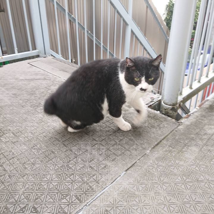 Edccf427 b403 479e 8b07 1c851d4da224 1662074692384