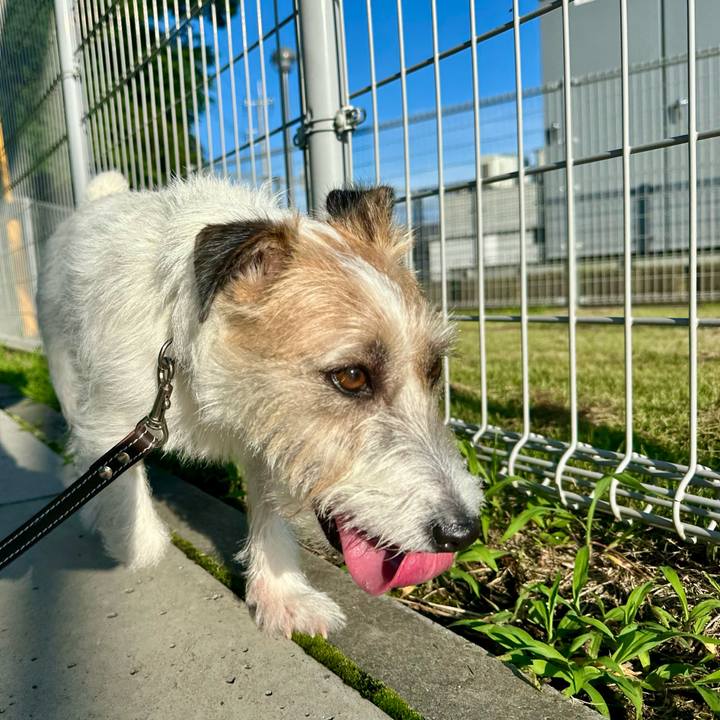 Edcd4284 a5e1 4fa4 ae65 422a930b67b7 1749999728084