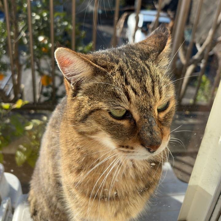 Edcd617a 4bf6 4274 9143 acd333f6ba2c 1767055024318