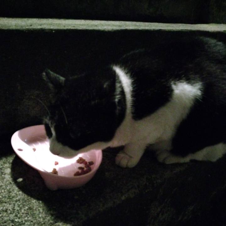 Edcd7a17 7fcc 4cf9 a727 935401128b76 1698575553653