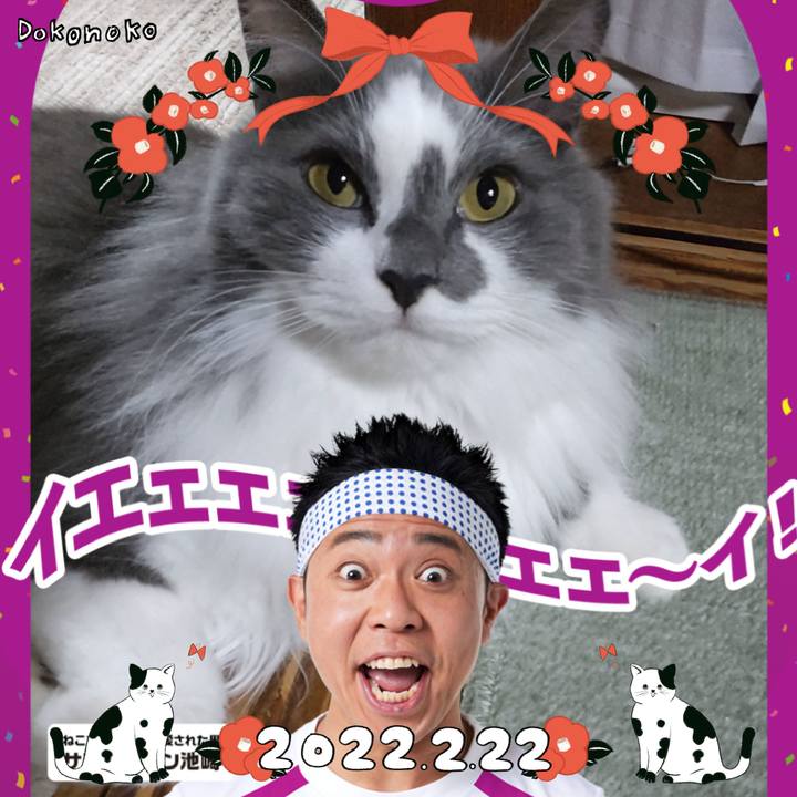 Edcdbd9d ee15 441e 82d2 a0e4bd3b82a9 1645530056762