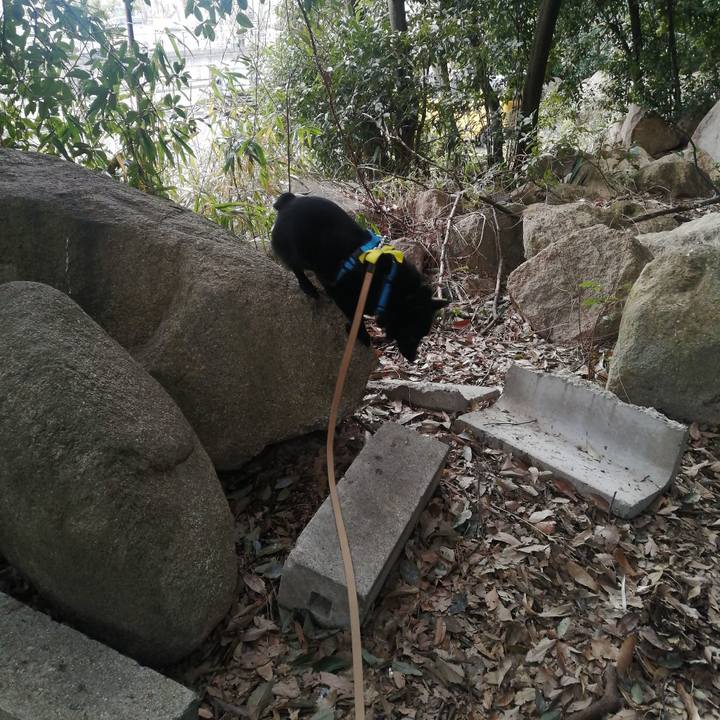 Edcdc3e6 f6c3 4969 9c6c 8f8792df7e8f 1647821169513