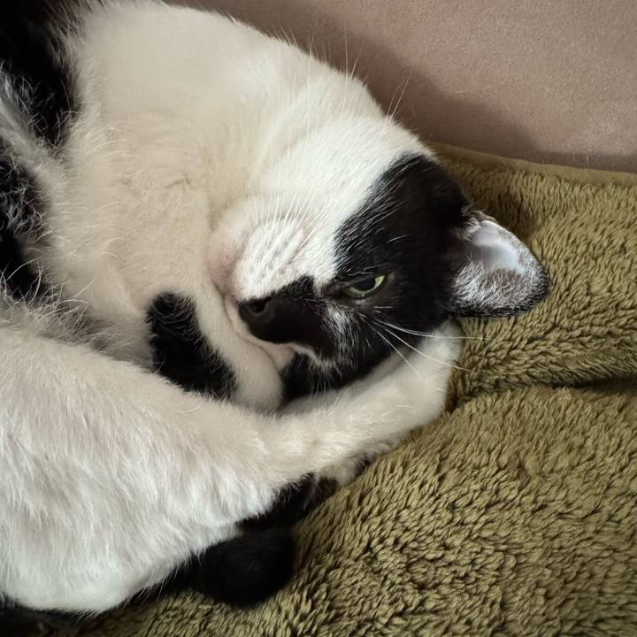 Edcdd0df d615 47da 89bb 98f25f543516 1759460712195