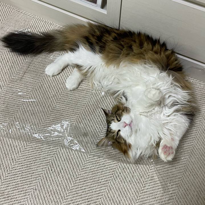 Edcdf6c1 ed82 4fea a37f 6e19b13ce4ca 1676576880792