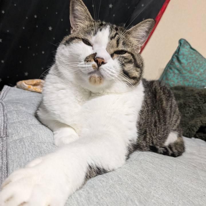 Edce1dfa 8d4f 4d2e b385 f4cd786dcf6b 1725175740600