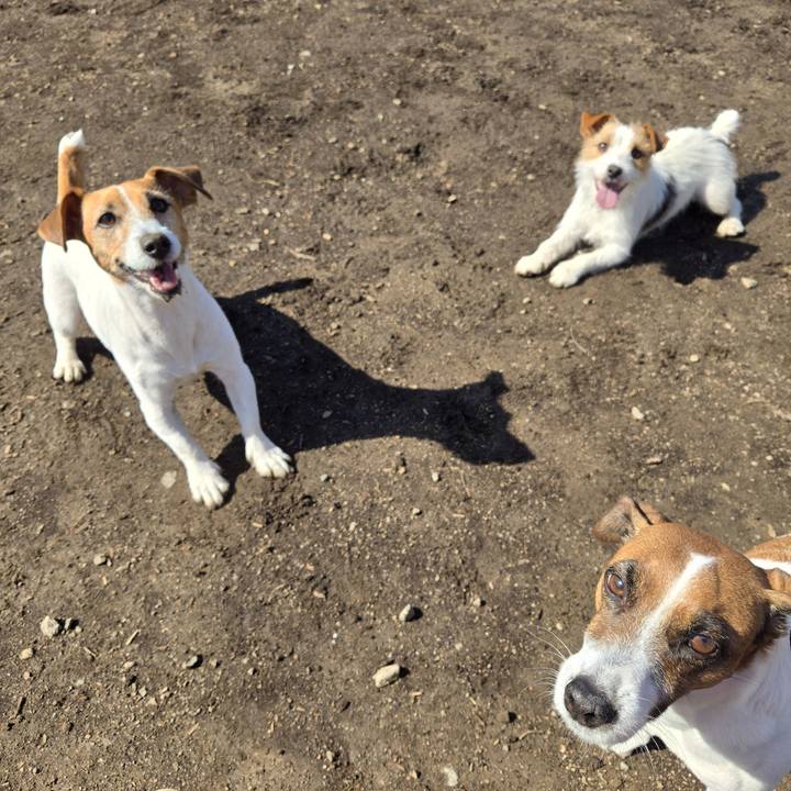 Edce311a 0e2a 4014 957c a0a29aac21e3 1772887496026