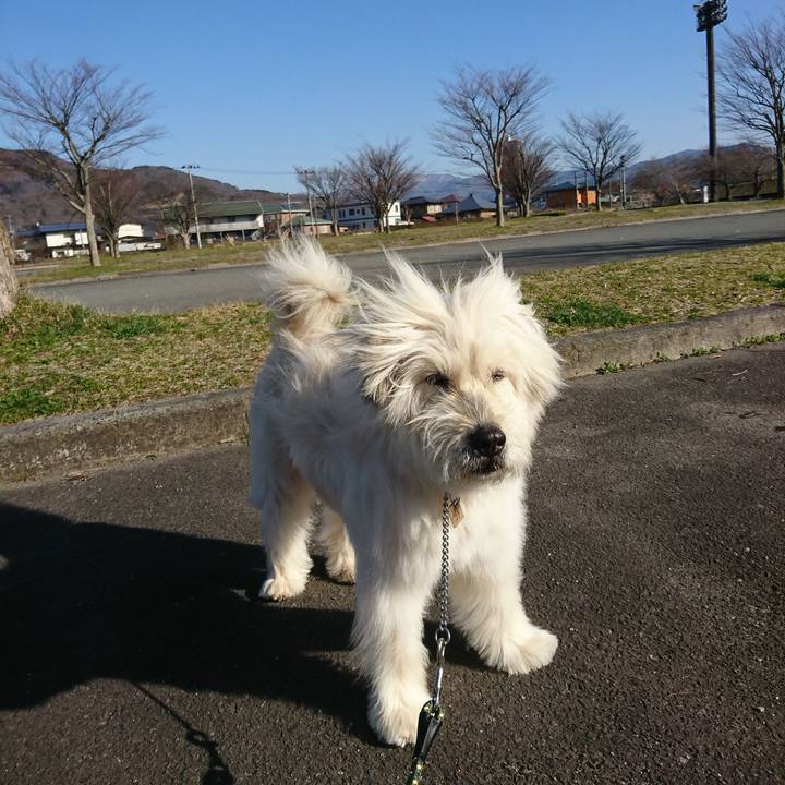 Edce34e0 e32d 4125 8646 8634840e90e1 1585904531222