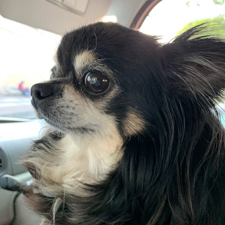 Edce65db 690d 43fc 81de 56aca5603bff 1557648938753