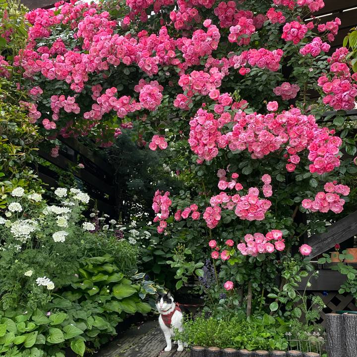 Edce835e c5a6 433e 95d5 dbd369d3923d 1685349181664