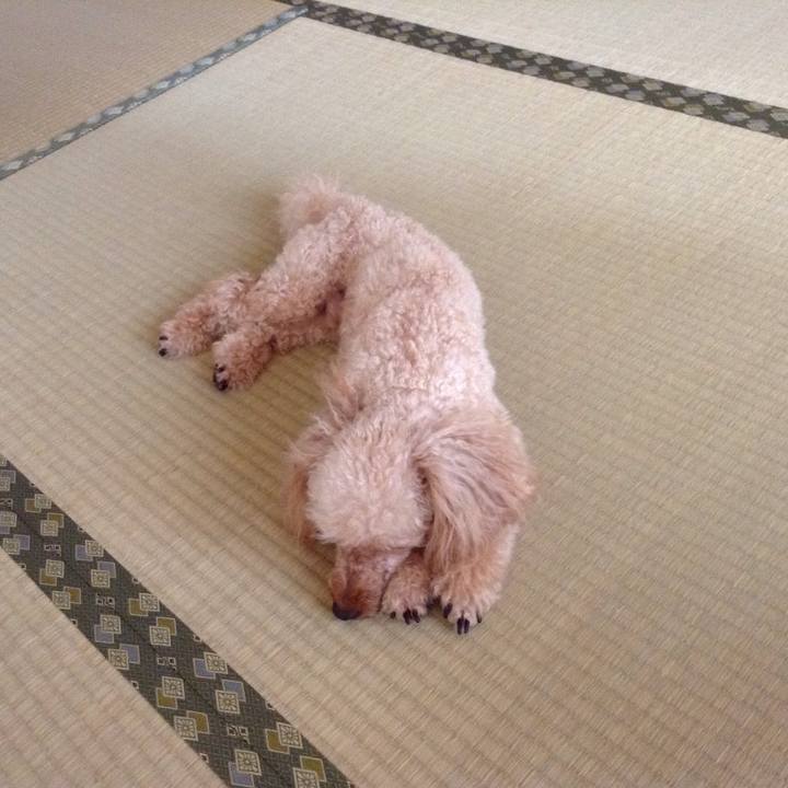 Edce995b 56b2 4a2e 9eb7 64077427c1dd 1530365171763