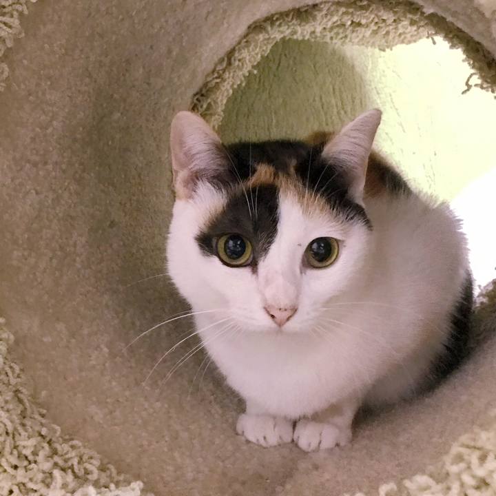 Edcece1e 8585 48b3 ad55 bc25560c770f 1507783675300