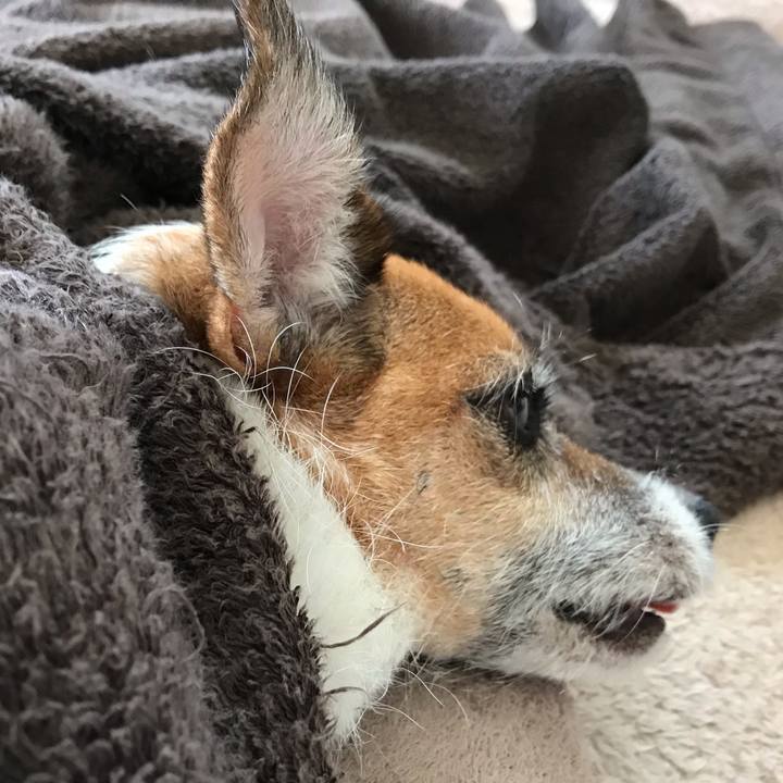 Edcf0e15 4083 4f83 8e2a 00972a5d4931 1540180859054