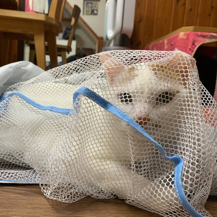 Edcf313a e379 440d 9834 712c09c0c8be 1649590348935