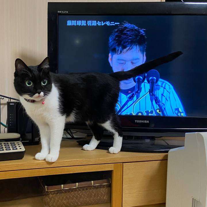 Edcf3195 a25f 435e ad47 a14b9074aa75 1605012653791