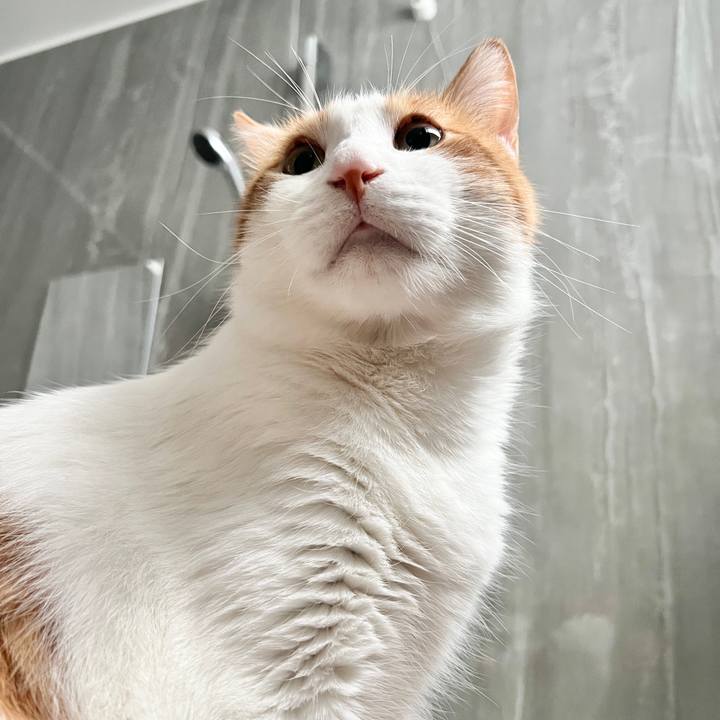 Edcf908a ca5f 4f34 8e72 d2566c169149 1760143834589