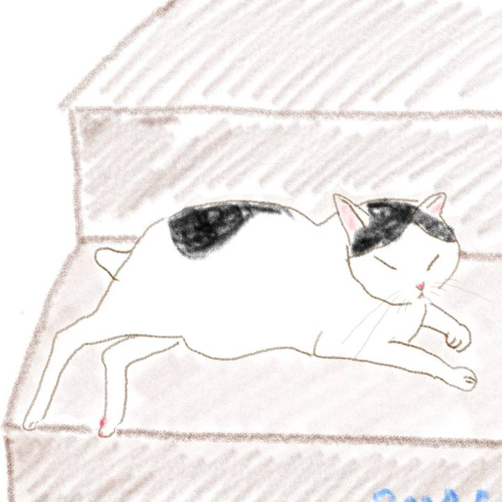 Edcfb02d 7358 44ec a23c 0b4cb8aa3b59 1589803172181