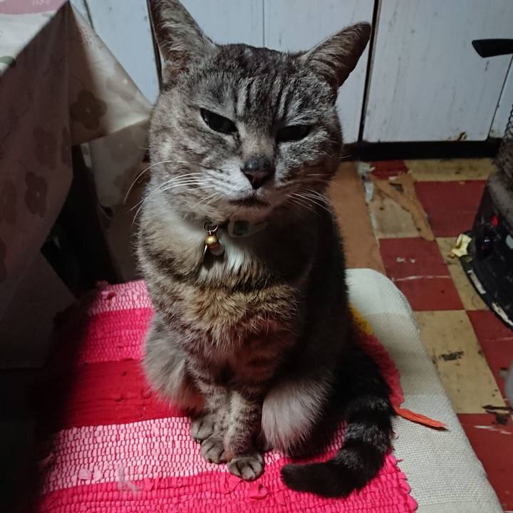 Edcfb484 d8ae 4595 a3cf 802ce74636e7 1560282249518