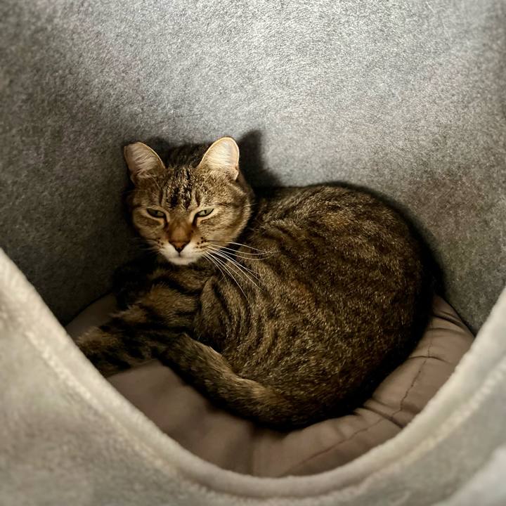 Edcfb5c8 6107 4055 a17d 42f43caf2104 1763217198641