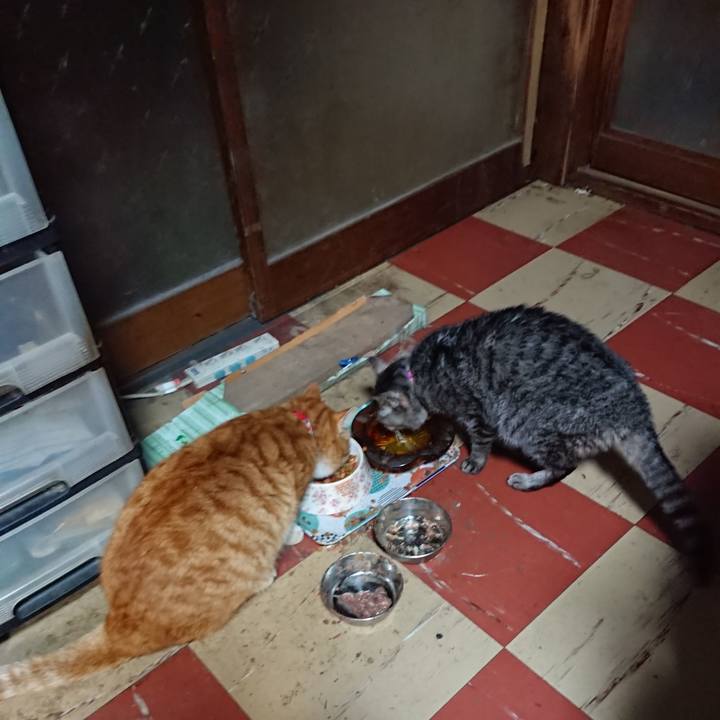 Edcfdd6d adb4 416f 80b8 b6b15fd77a6d 1578731719973