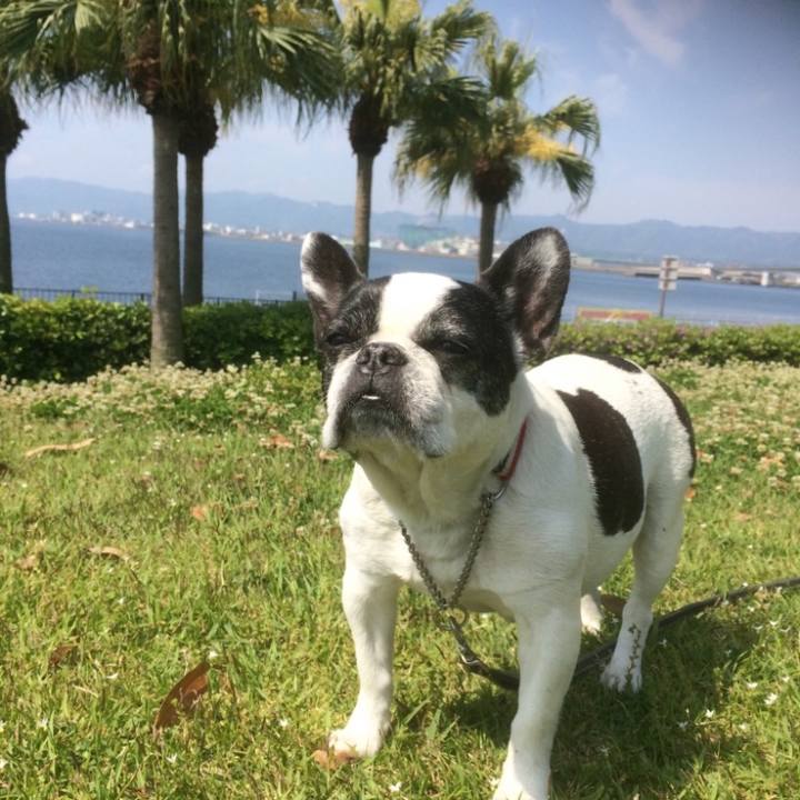 Edcfe56a 6a50 4a11 9753 61d76973bea2 1636302327391