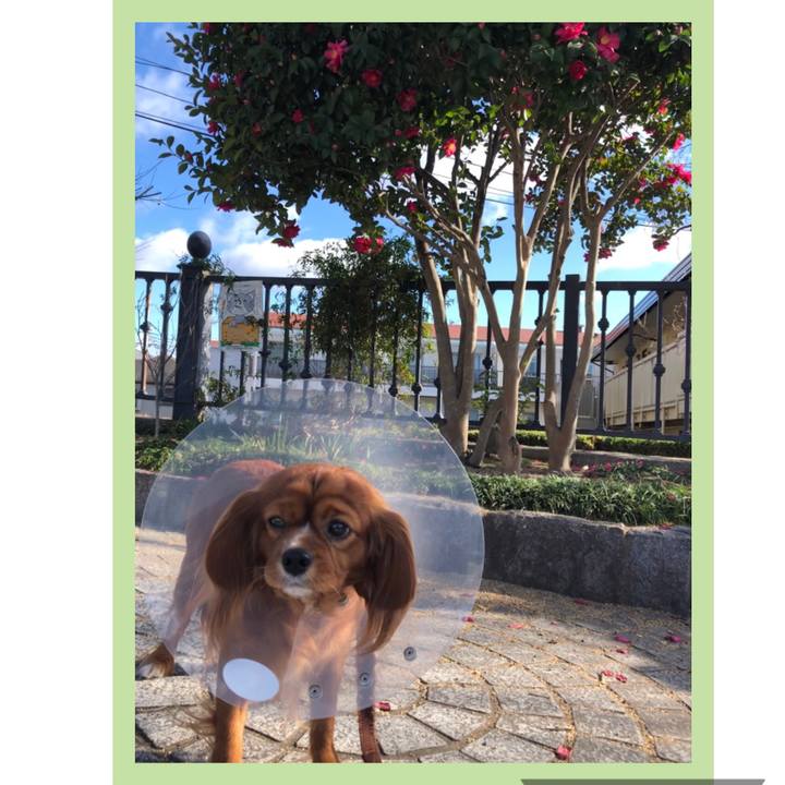 Edd02ca2 6b0c 4ca9 abb9 f253224f268b 1577515039019