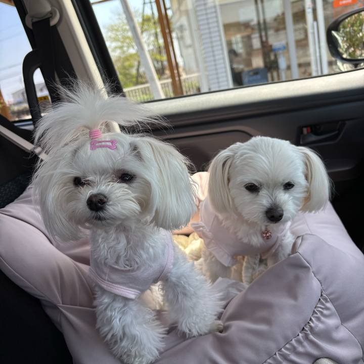 Edd04c75 0a23 419a a4f2 6e0e3a6e1691 1744879848572